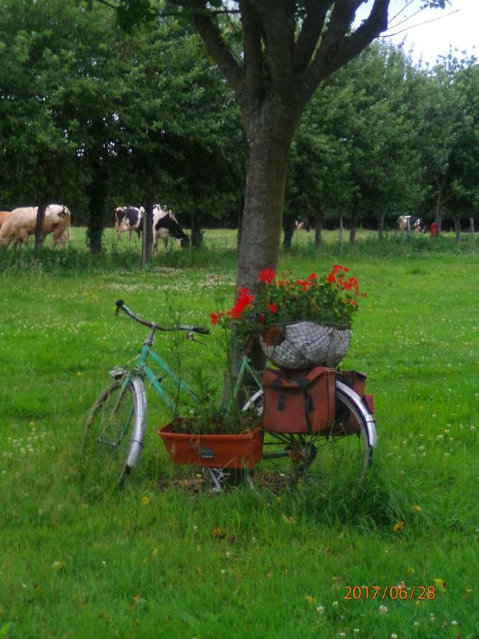 Camping Du Creulet Crouay Exteriör bild