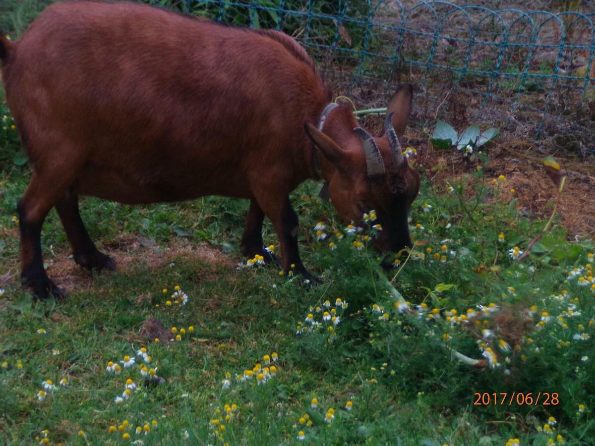 Camping Du Creulet Crouay Exteriör bild